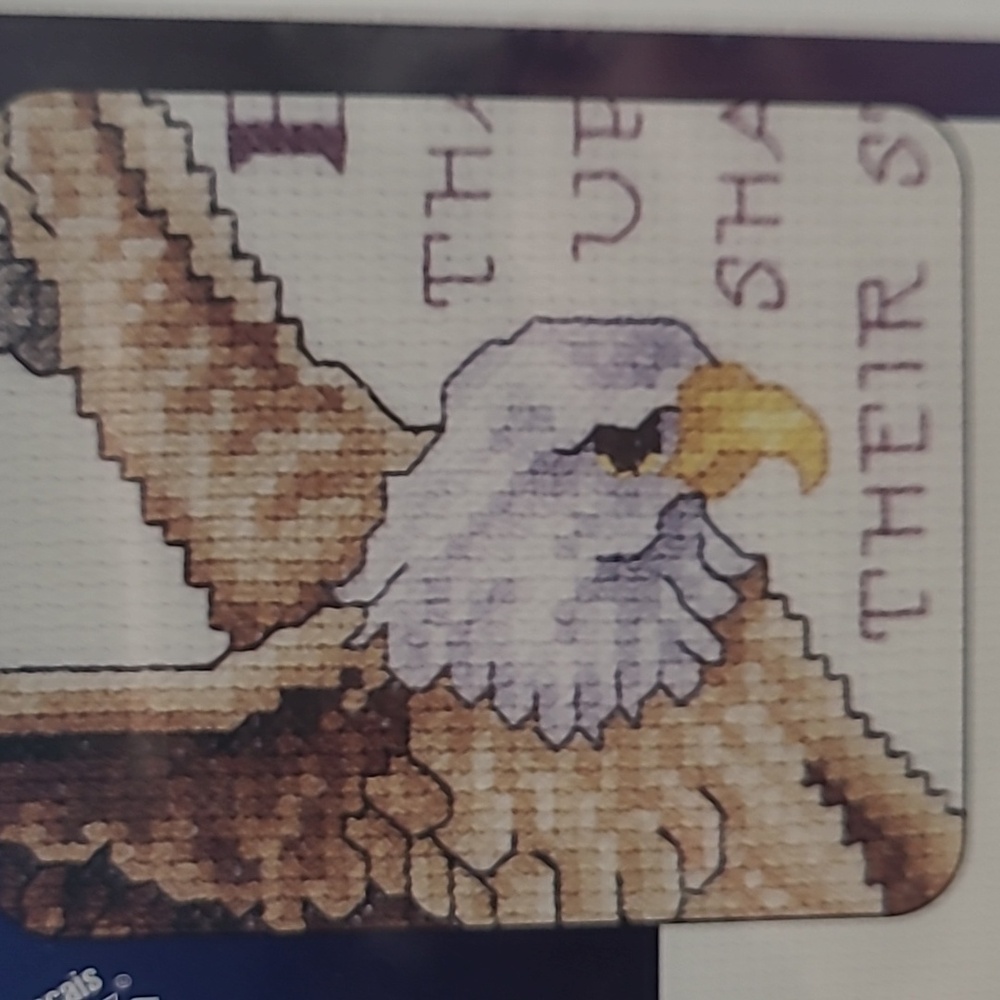 Isaiah 40:31 Counted Cross Stitch Kit - Picture 4 of 9